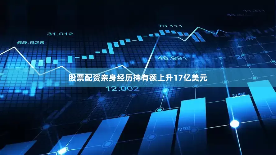 股票配资亲身经历持有额上升17亿美元