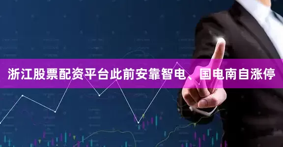浙江股票配资平台此前安靠智电、国电南自涨停