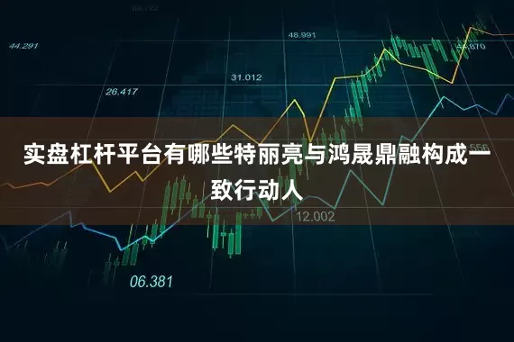 实盘杠杆平台有哪些特丽亮与鸿晟鼎融构成一致行动人