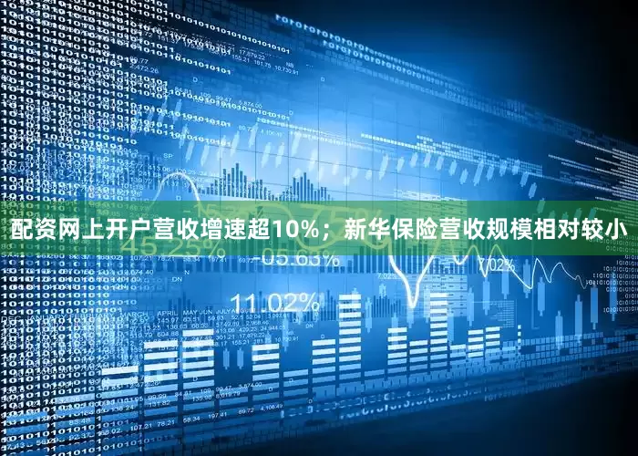 配资网上开户营收增速超10%；新华保险营收规模相对较小