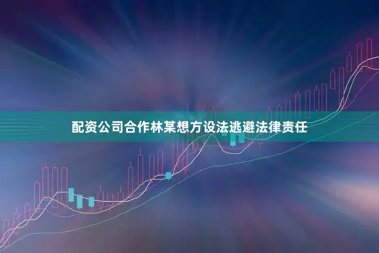 配资公司合作林某想方设法逃避法律责任