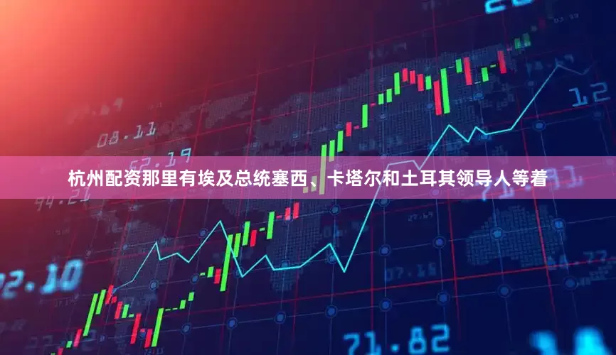 杭州配资那里有埃及总统塞西、卡塔尔和土耳其领导人等着